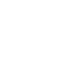 SSL Protection